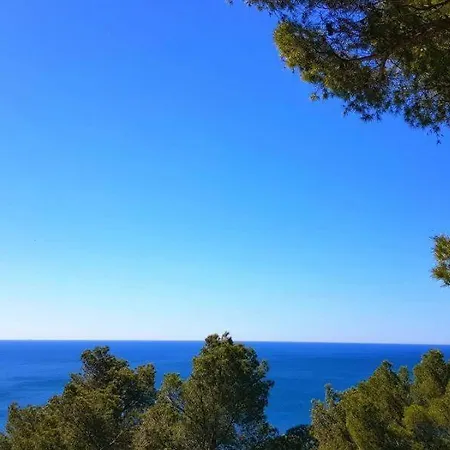 Sea Inside - Willa Chiavari