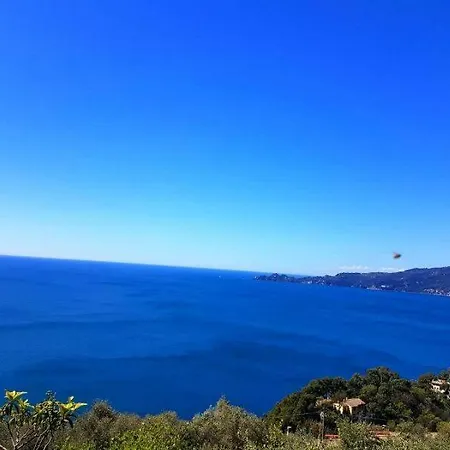فيلة Sea Inside - *